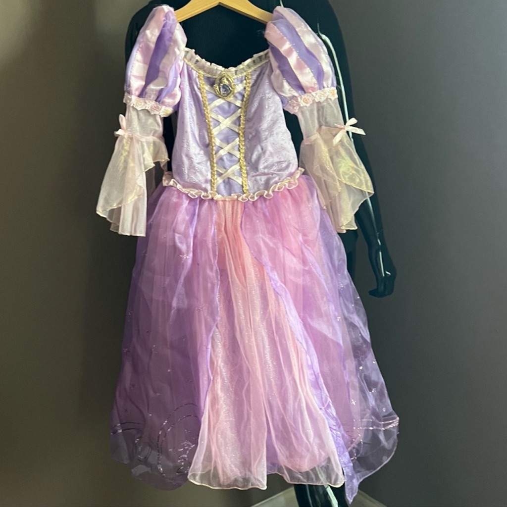 Disney Rapunzel Dress, Shoes & Wig